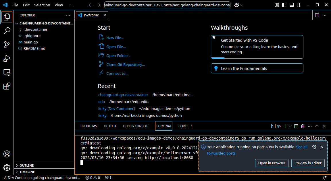 Screenshot of a VS Code window running helloserver and prompting the user to open the application in the browser.