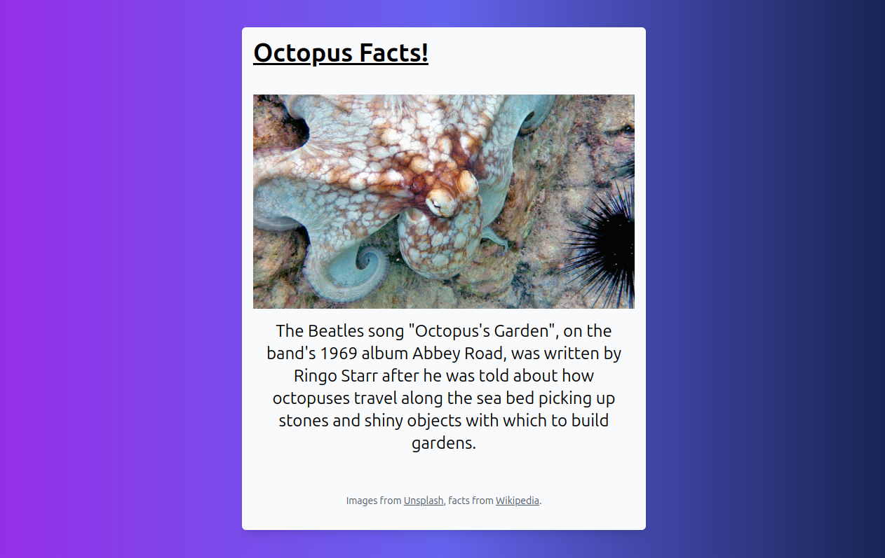 Preview of the OctoFacts demo Laravel application